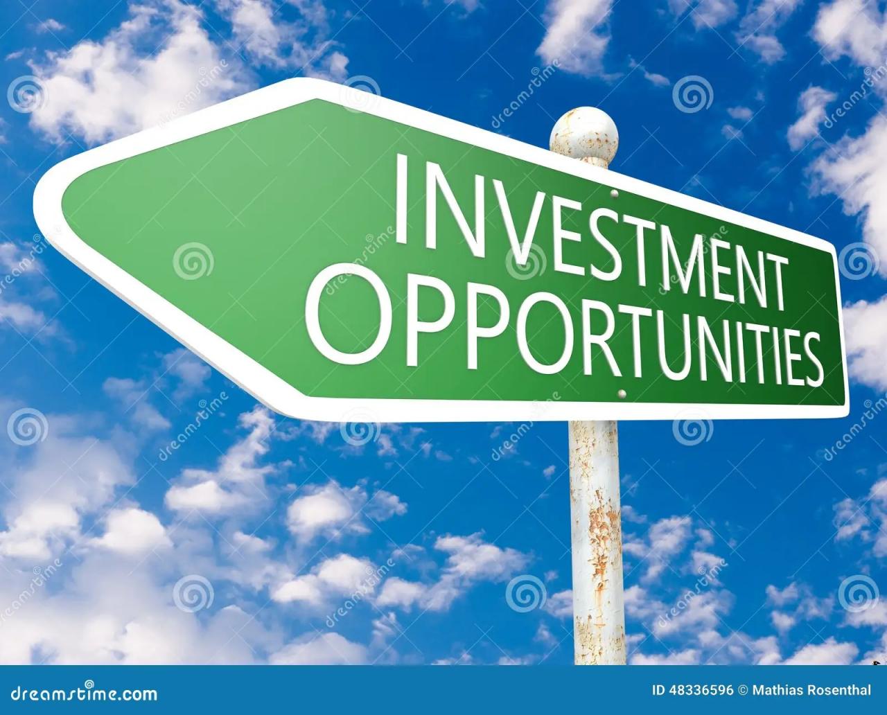 Investment Opportunities In 2026